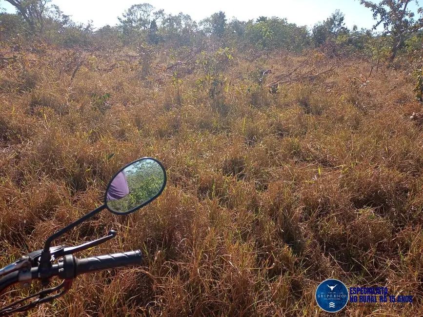 Foto 5 de Fazenda / Haras à venda, 38m2 em Caiaponia - GO