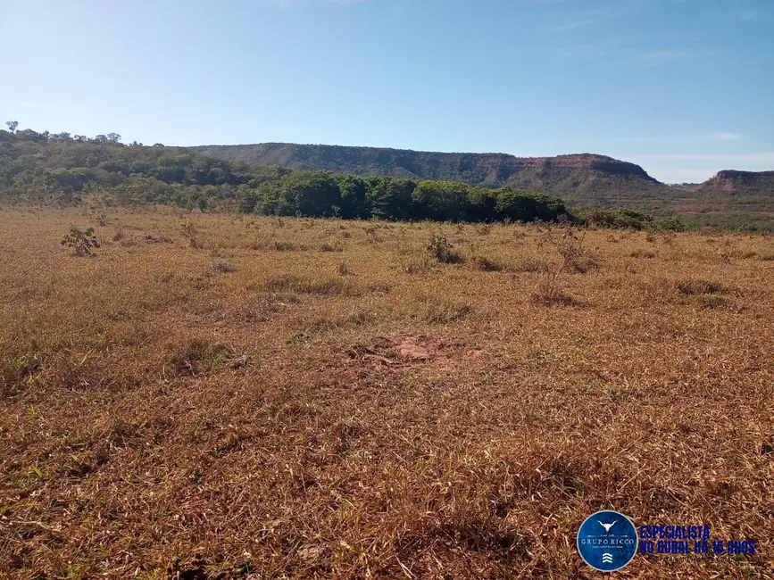 Foto 4 de Fazenda / Haras à venda, 38m2 em Caiaponia - GO