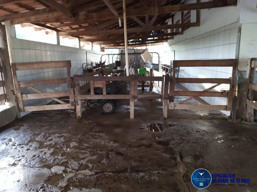 Foto 4 de Chácara à venda, 9m2 em Corumbaiba - GO