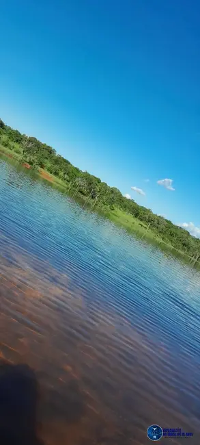 Foto 9 de Fazenda / Haras com 4 quartos à venda, 294m2 em Arraias - TO