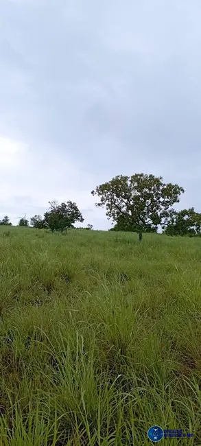 Foto 4 de Fazenda / Haras com 4 quartos à venda, 294m2 em Arraias - TO