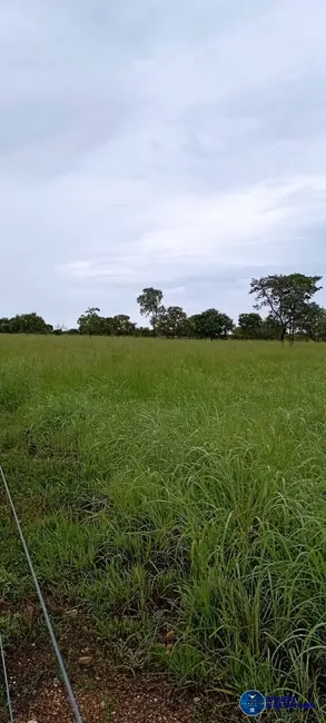 Foto 3 de Fazenda / Haras com 4 quartos à venda, 294m2 em Arraias - TO