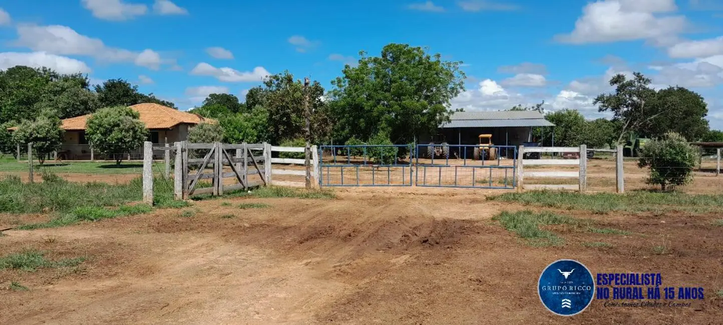 Foto 7 de Fazenda / Haras com 4 quartos à venda, 294m2 em Arraias - TO