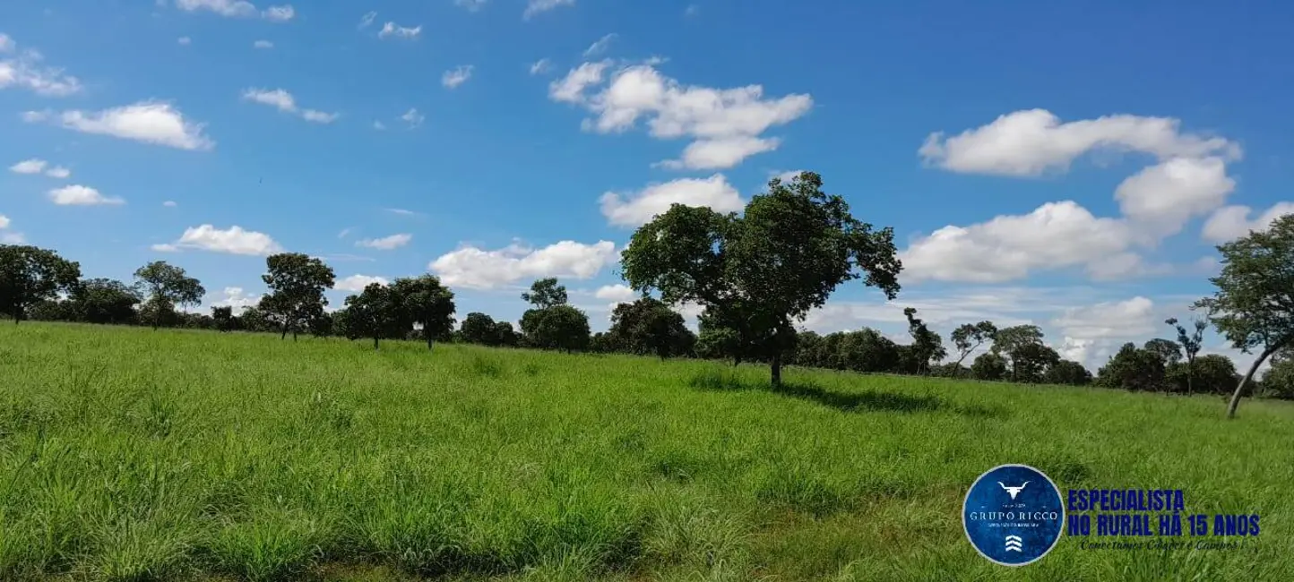 Foto 1 de Fazenda / Haras com 4 quartos à venda, 294m2 em Arraias - TO