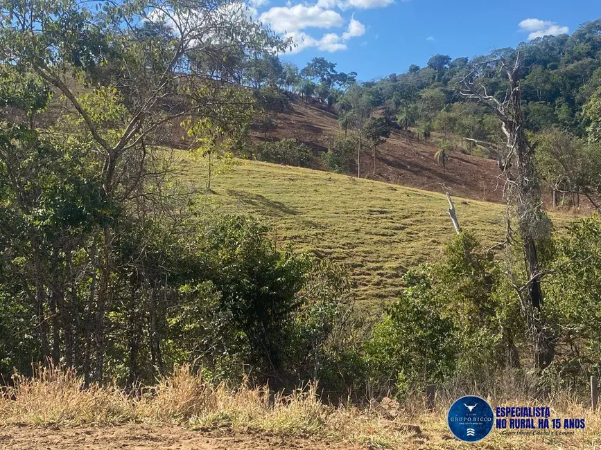Foto 10 de Chácara à venda, 14m2 em Itaguari - GO