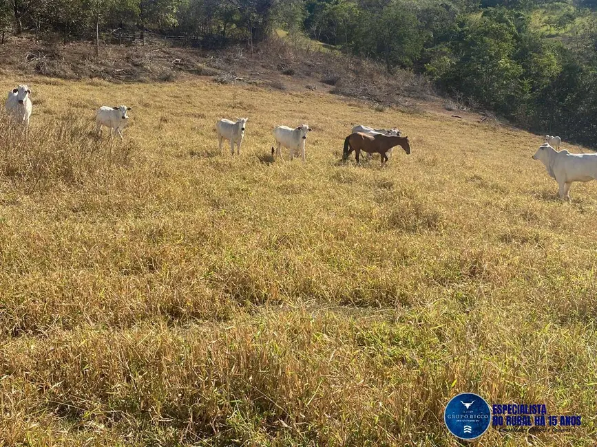 Foto 11 de Chácara à venda, 14m2 em Itaguari - GO
