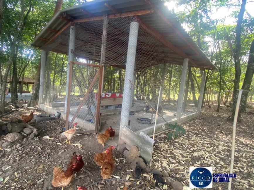 Foto 3 de Chácara à venda em Taquaral De Goias - GO