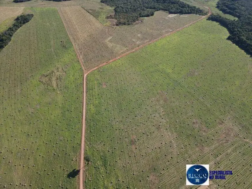 Fazenda / Haras à venda, 1827m2 em Barra Do Garcas - MT - imagem 7 Foto 7 de Fazenda / Haras à venda, 1827m2 em Barra Do Garcas - MT