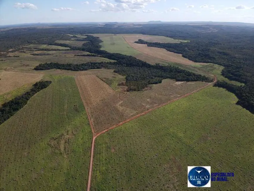 Fazenda / Haras à venda, 1827m2 em Barra Do Garcas - MT - imagem 8 Foto 8 de Fazenda / Haras à venda, 1827m2 em Barra Do Garcas - MT