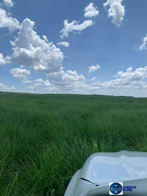 Fazenda / Haras à venda, 1827m2 em Barra Do Garcas - MT - imagem 4 Foto 4 de Fazenda / Haras à venda, 1827m2 em Barra Do Garcas - MT