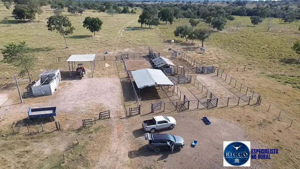 Foto 2 de Fazenda / Haras à venda, 75m2 em Itapirapua - GO