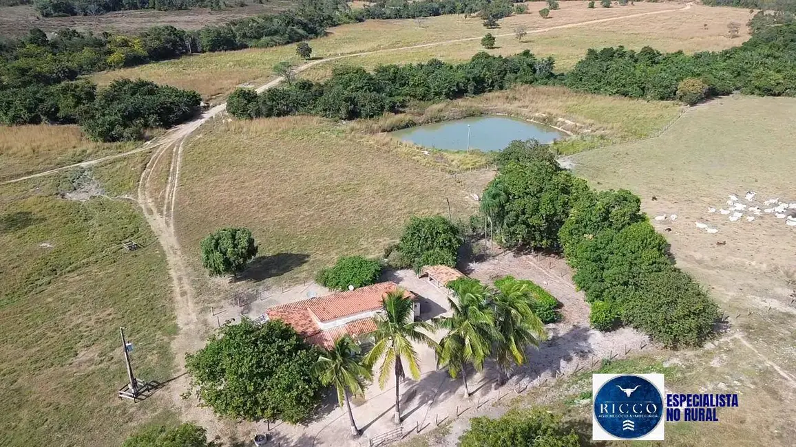 Foto 1 de Fazenda / Haras à venda, 75m2 em Itapirapua - GO