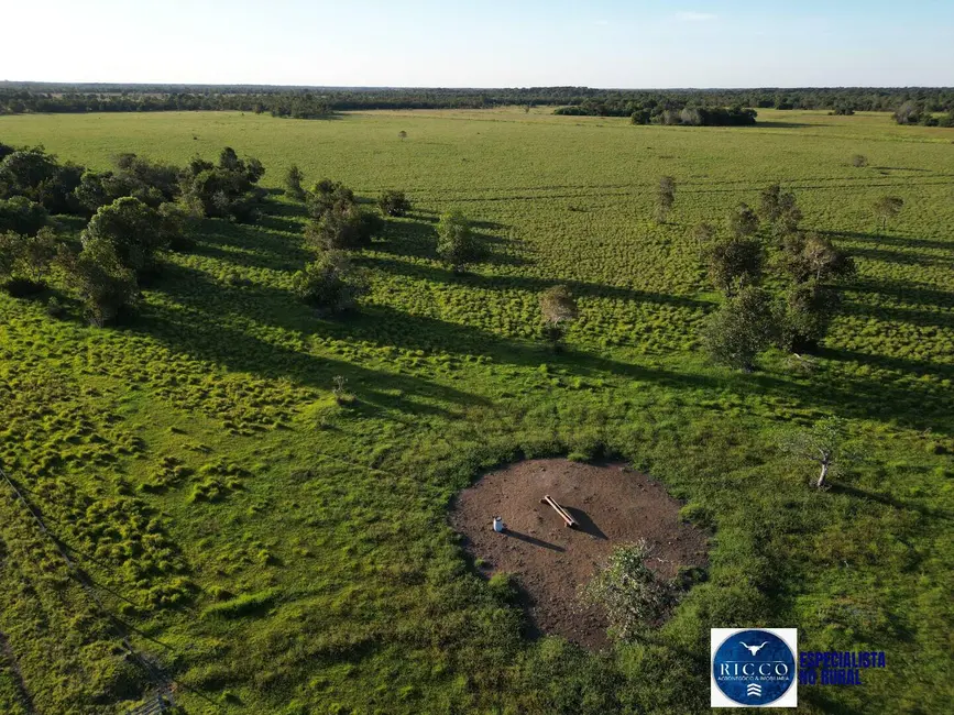 Foto 7 de Fazenda / Haras à venda, 203m2 em Setor Central, Sao Miguel Do Araguaia - GO