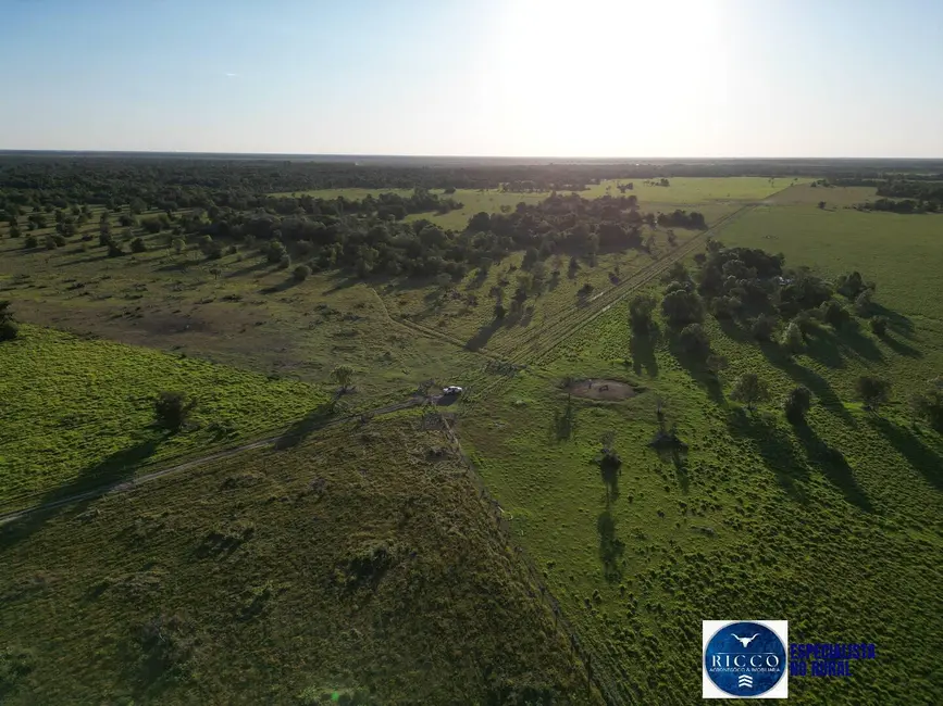 Foto 3 de Fazenda / Haras à venda, 203m2 em Setor Central, Sao Miguel Do Araguaia - GO