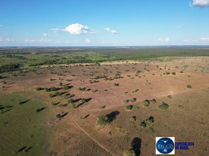 Foto 4 de Fazenda / Haras à venda, 203m2 em Setor Central, Sao Miguel Do Araguaia - GO