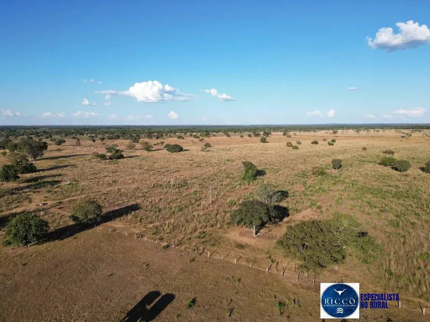 Foto 2 de Fazenda / Haras à venda, 203m2 em Setor Central, Sao Miguel Do Araguaia - GO