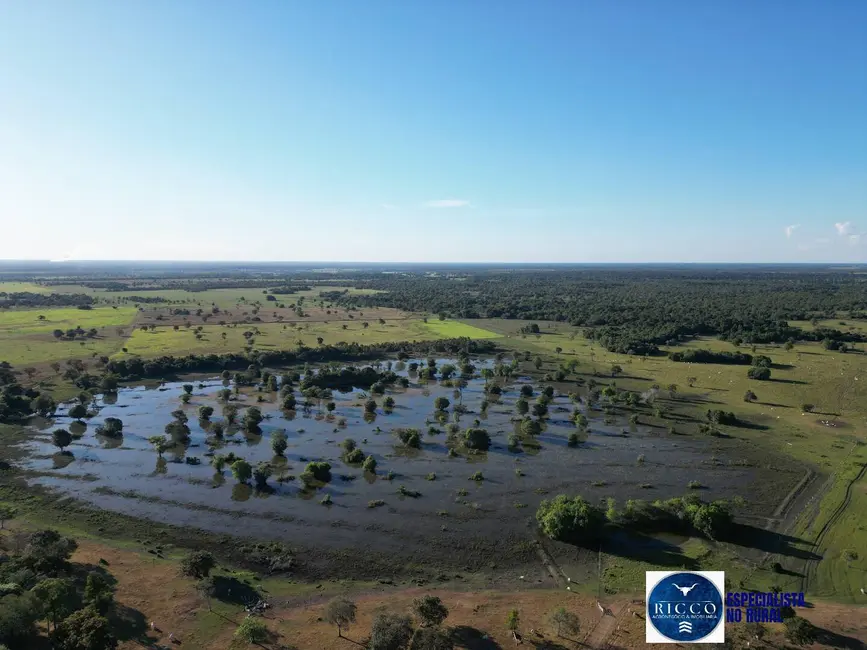 Foto 6 de Fazenda / Haras à venda, 203m2 em Setor Central, Sao Miguel Do Araguaia - GO
