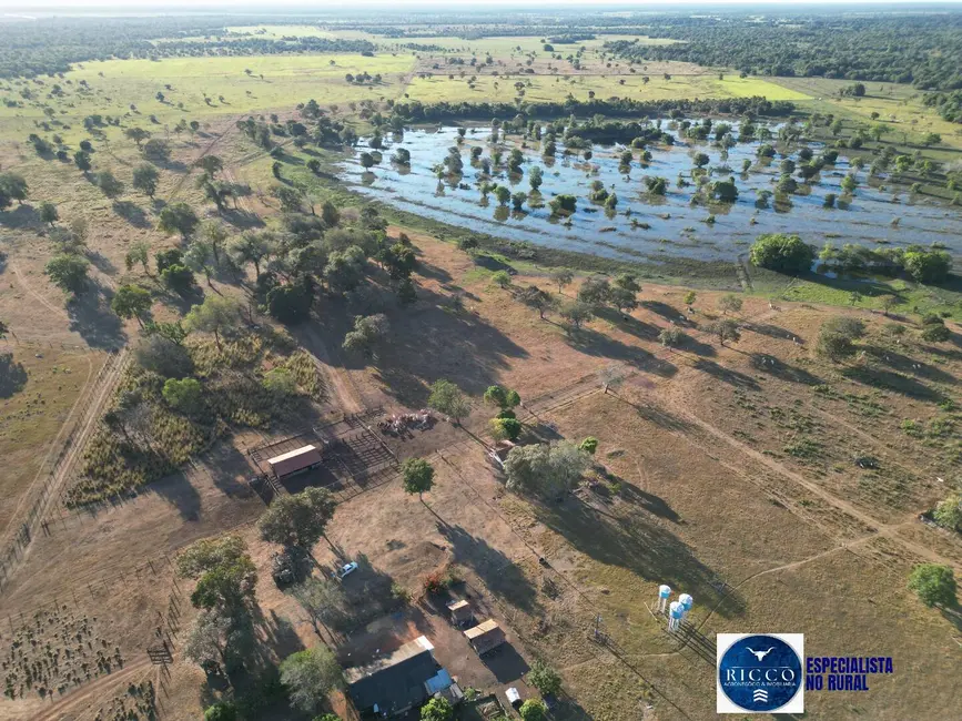 Foto 5 de Fazenda / Haras à venda, 203m2 em Setor Central, Sao Miguel Do Araguaia - GO
