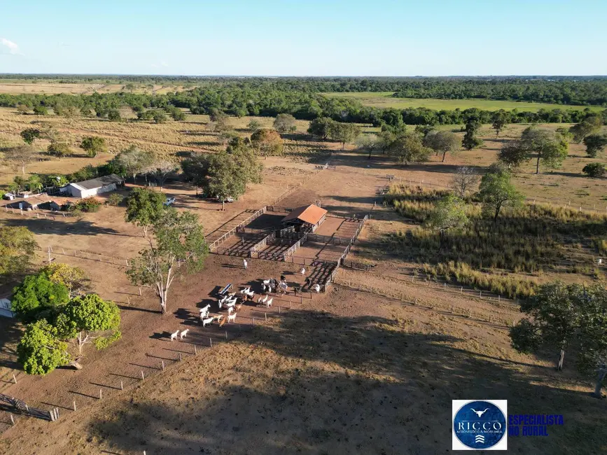 Foto 1 de Fazenda / Haras à venda, 203m2 em Setor Central, Sao Miguel Do Araguaia - GO