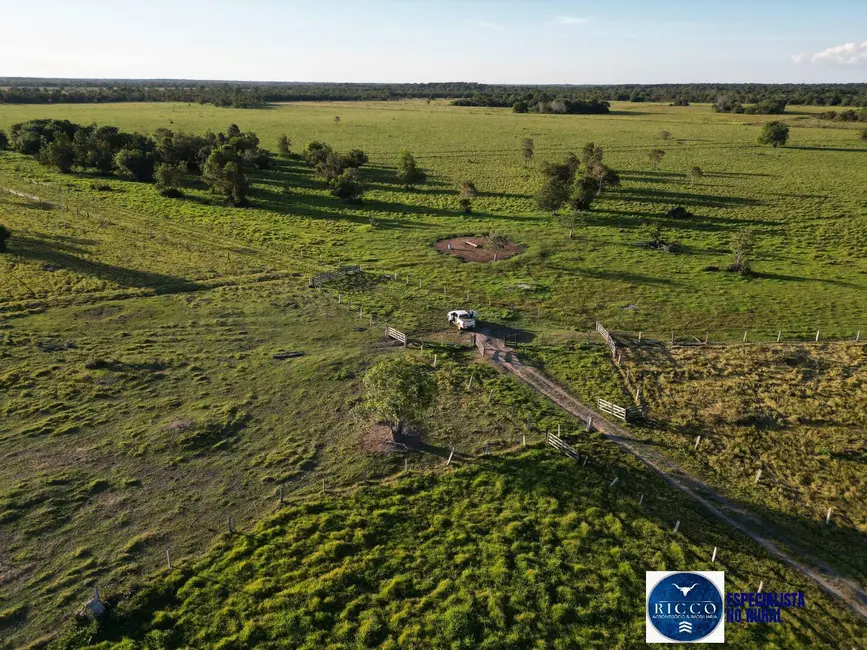 Foto 8 de Fazenda / Haras à venda, 203m2 em Setor Central, Sao Miguel Do Araguaia - GO