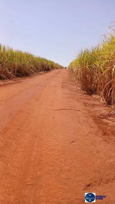 Foto 3 de Fazenda / Haras à venda, 140m2 em Quirinopolis - GO