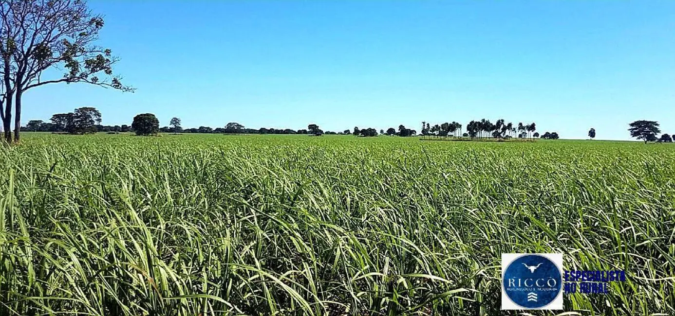 Foto 2 de Fazenda / Haras à venda, 140m2 em Quirinopolis - GO