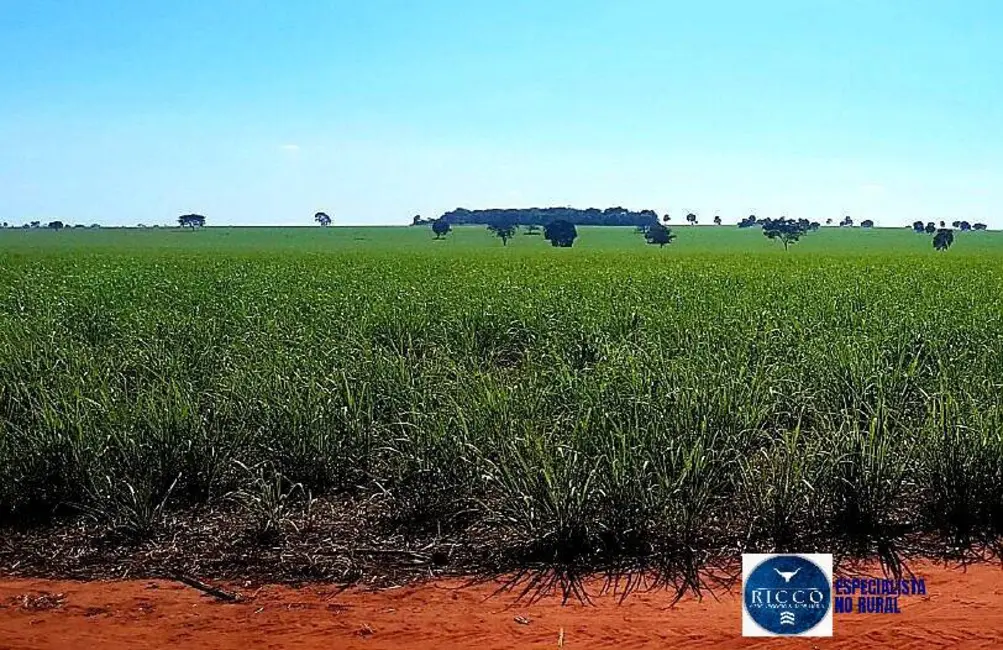 Foto 1 de Fazenda / Haras à venda, 140m2 em Quirinopolis - GO