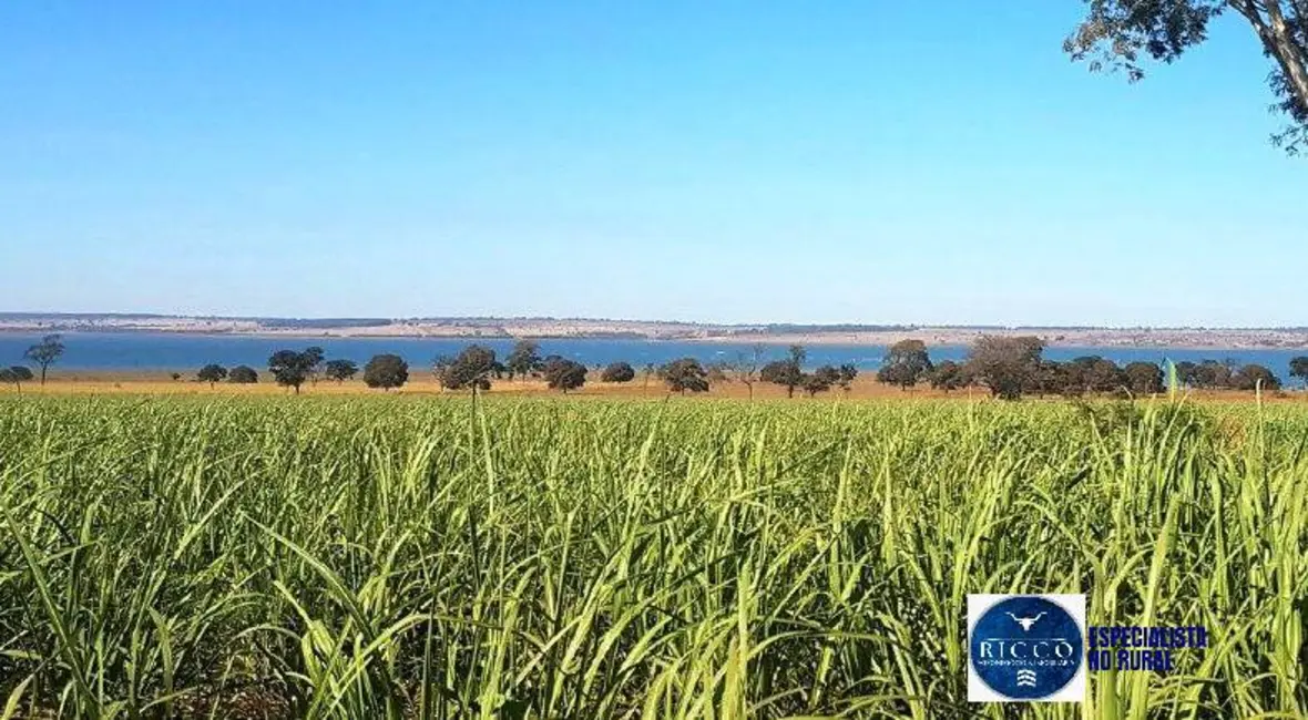 Foto 7 de Fazenda / Haras à venda, 140m2 em Quirinopolis - GO