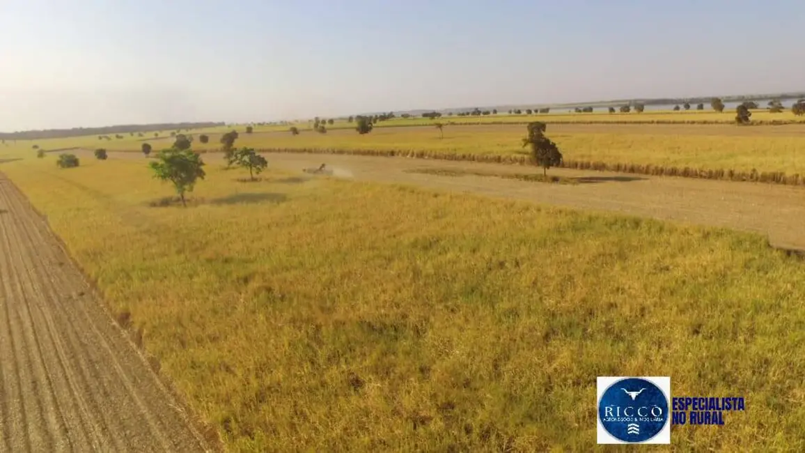 Foto 5 de Fazenda / Haras à venda, 140m2 em Quirinopolis - GO
