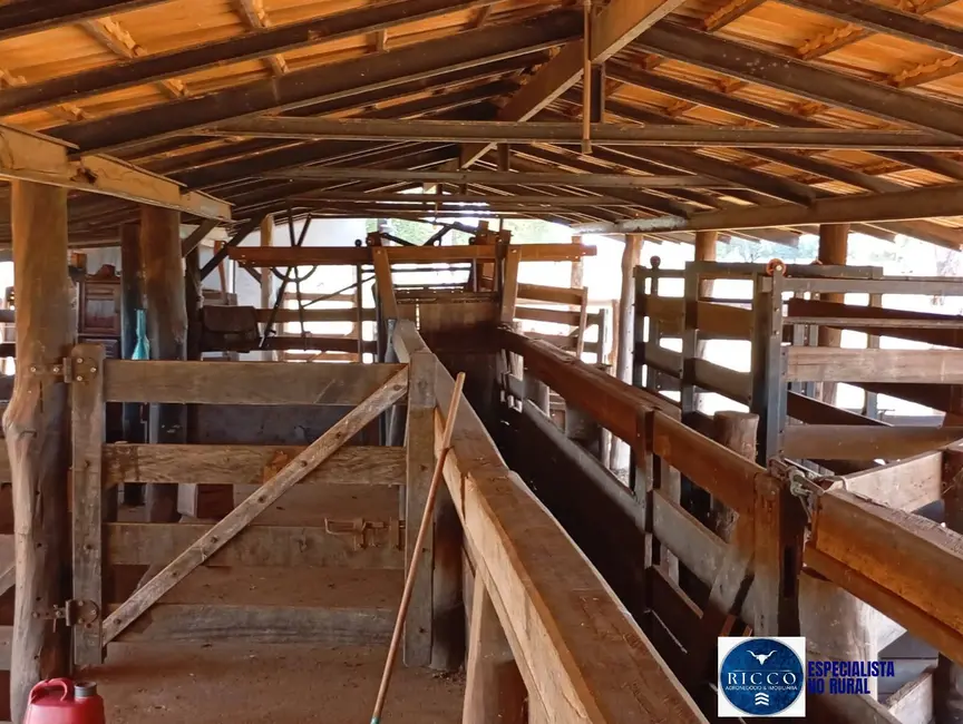 Foto 8 de Fazenda / Haras à venda, 1616m2 em Araguaiana - MT