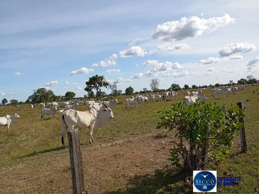 Foto 4 de Fazenda / Haras à venda, 1616m2 em Araguaiana - MT
