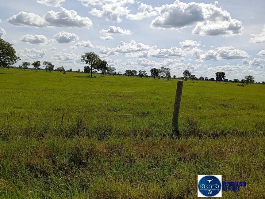 Foto 2 de Fazenda / Haras à venda, 1616m2 em Araguaiana - MT