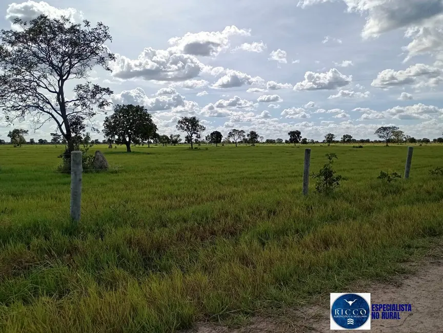 Foto 6 de Fazenda / Haras à venda, 1616m2 em Araguaiana - MT