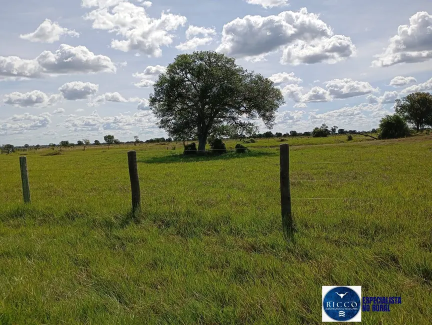 Foto 9 de Fazenda / Haras à venda, 1616m2 em Araguaiana - MT