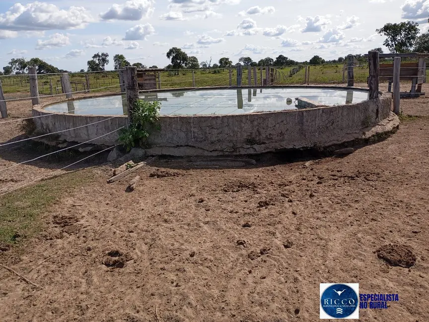 Foto 3 de Fazenda / Haras à venda, 1616m2 em Araguaiana - MT