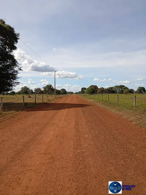 Foto 7 de Fazenda / Haras à venda, 1616m2 em Araguaiana - MT