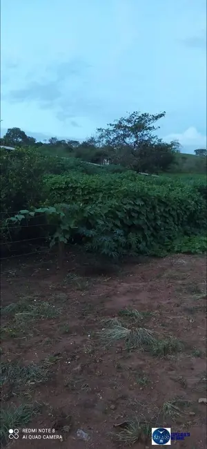 Foto 9 de Chácara à venda em Ouro Verde De Goias - GO