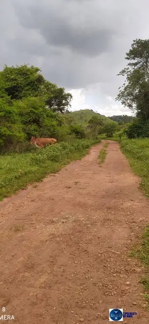 Foto 6 de Chácara à venda em Ouro Verde De Goias - GO