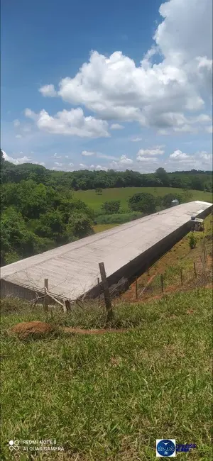 Foto 8 de Chácara à venda em Ouro Verde De Goias - GO