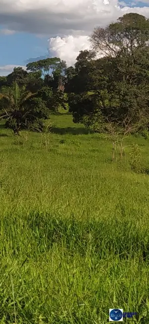 Foto 1 de Chácara à venda em Ouro Verde De Goias - GO