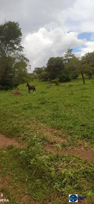 Foto 2 de Chácara à venda em Ouro Verde De Goias - GO