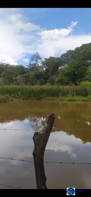 Foto 4 de Chácara à venda em Ouro Verde De Goias - GO