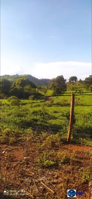 Foto 7 de Chácara à venda em Ouro Verde De Goias - GO