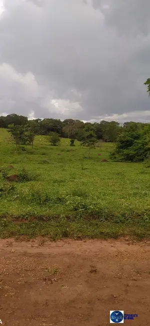 Foto 3 de Chácara à venda em Ouro Verde De Goias - GO