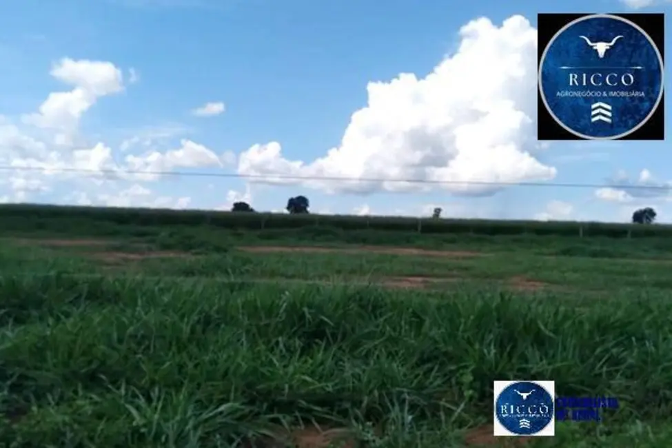 Foto 2 de Fazenda / Haras à venda, 90m2 em Aragarcas - GO