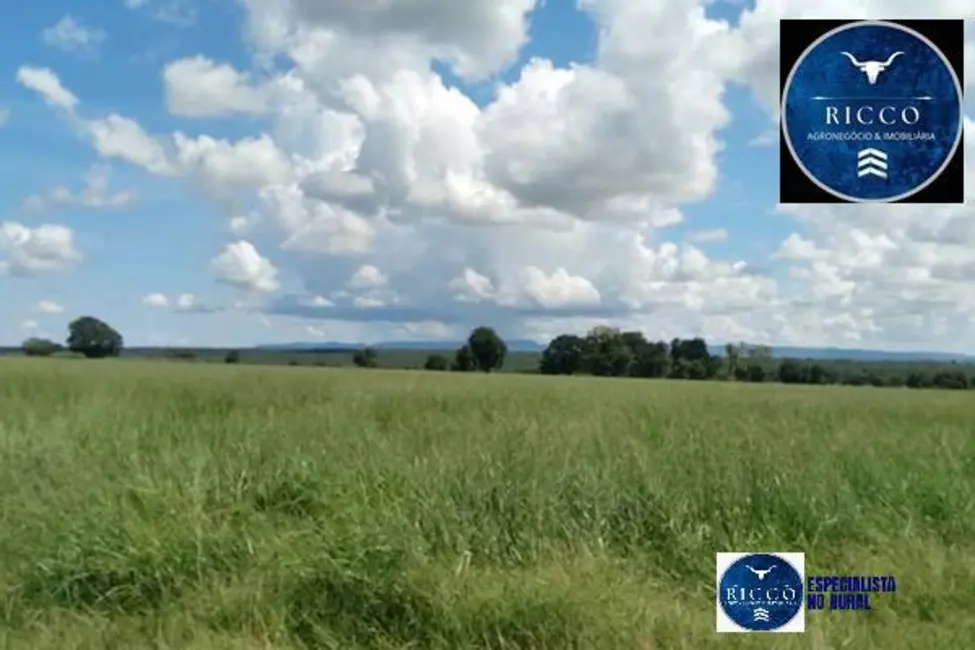 Foto 4 de Fazenda / Haras à venda, 90m2 em Aragarcas - GO