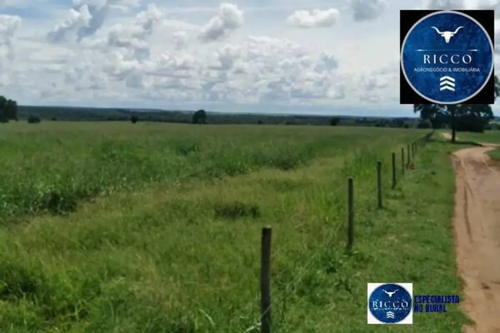 Foto 6 de Fazenda / Haras à venda, 90m2 em Aragarcas - GO