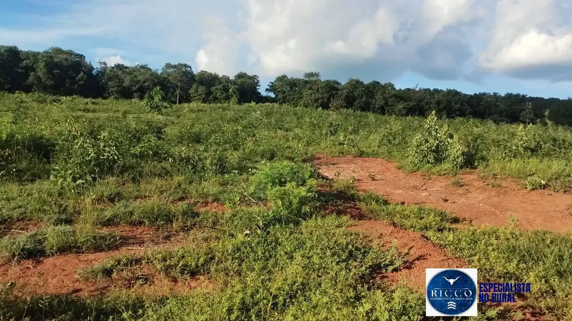 Foto 3 de Fazenda / Haras à venda, 144m2 em Montes Claros De Goias - GO