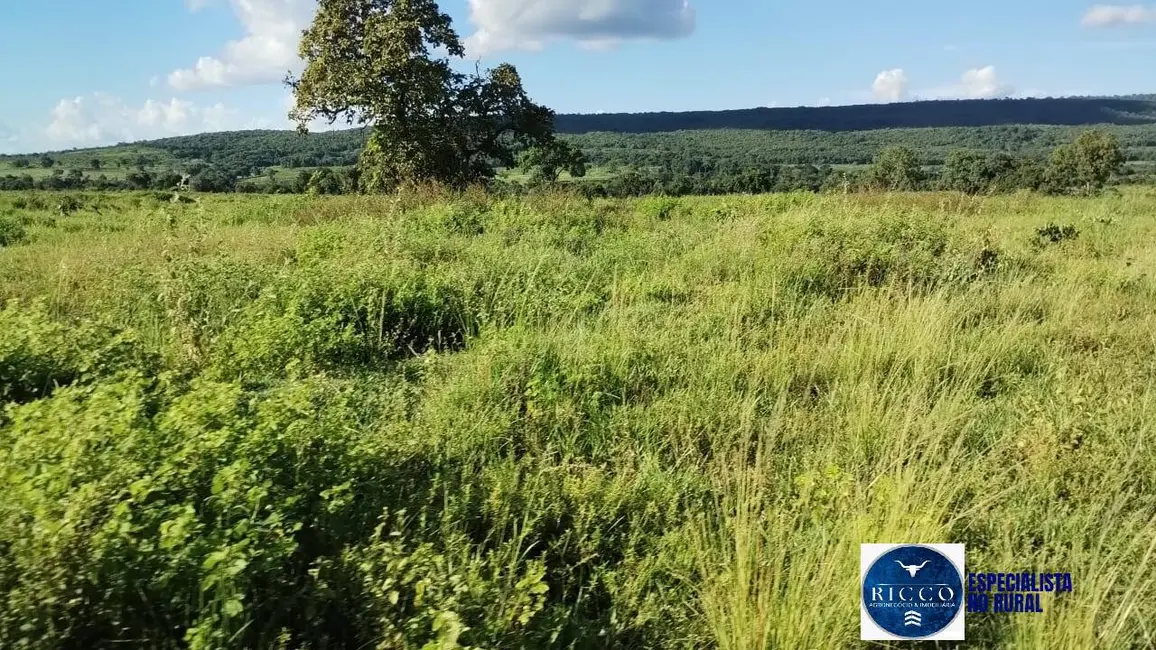 Foto 5 de Fazenda / Haras à venda, 144m2 em Montes Claros De Goias - GO