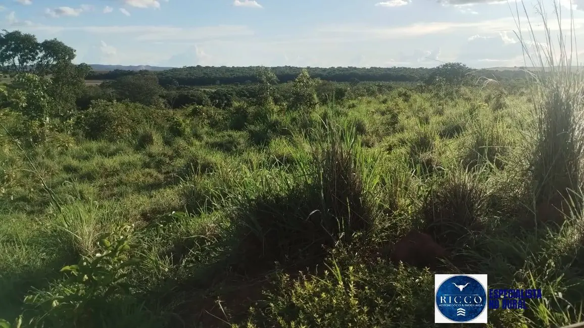 Foto 9 de Fazenda / Haras à venda, 144m2 em Montes Claros De Goias - GO